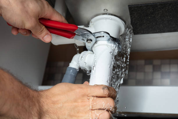 Best Commercial water damage restoration  in Ignacio, CO