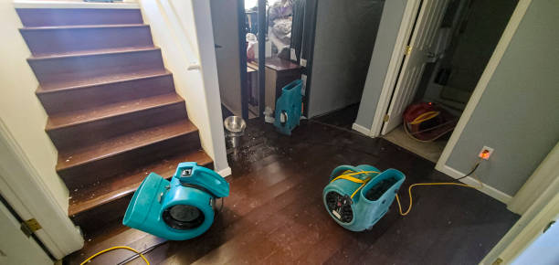 Best Residential water damage restoration  in Ignacio, CO