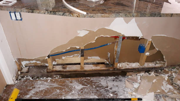 Best 24/7 water damage repair  in Ignacio, CO