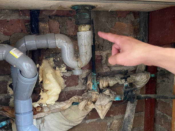Best Water damage restoration services  in Ignacio, CO